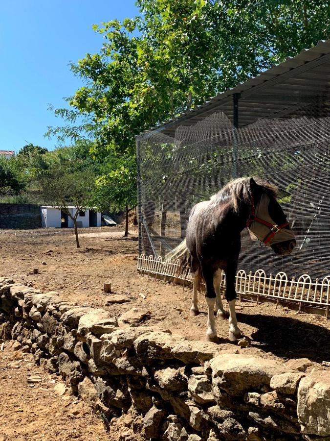 Quinta Do Vale - Natureza, Piscina E Praia! Carvoeira Dış mekan fotoğraf